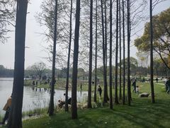 -渤公岛生态公园
