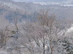 -长白山万达国际滑雪场