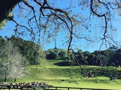-Cornwall Park Bistro