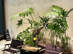 -J Create城市露营咖啡·简餐·宠物(上海动物园店)