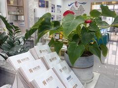 -启辰口腔(南坪店)