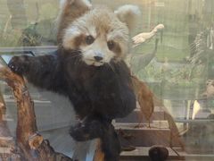 -陕西自然博物馆