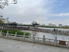 -莲花池公园