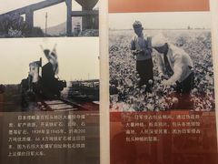 -包头博物馆