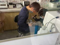 -全心全意连锁动物医院(石景山店)