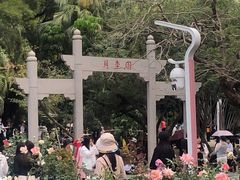 -人民公园(罗湖区)