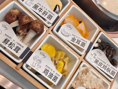 -洪氏嗨捞·猪肚鸡火锅(阳光天地店)