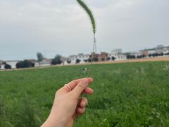 -秦岭终南山世界地质公园翠华山景区