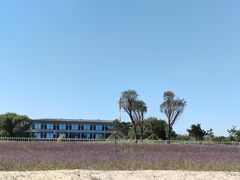 -渔岛海洋度假区