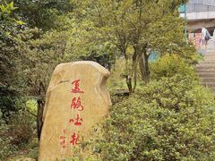 -梧桐山风景名胜区