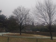 -国家植物园南园