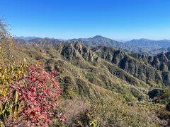 -大岭沟猕猴桃谷风景区