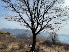 -灵山