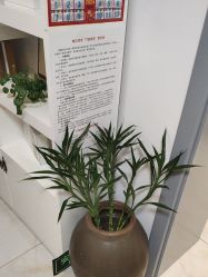 -瑶芳清颜草本祛痘