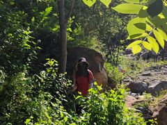 -阳台山自然风景区