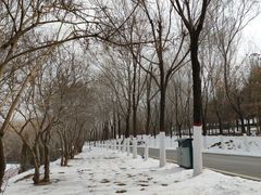 -青藏高原野生动物园