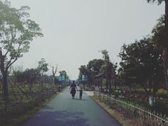-嬉乐湾休闲旅游区