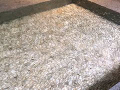 -明谷行馆·温泉