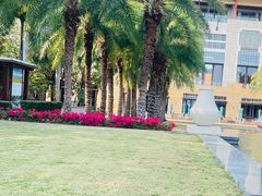 -三亚海棠湾万丽度假酒店