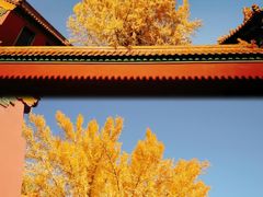 -故宫博物院(故宫)