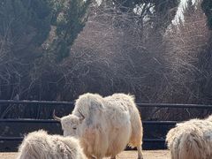 -济南野生动物世界