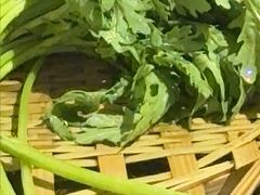 -冯校长老火锅(广州正佳广场店)