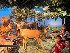 -国家自然博物馆