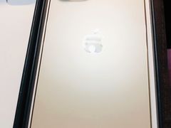 -Apple零售店(苏州店)