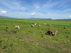 -新疆那拉提国家旅游度假区