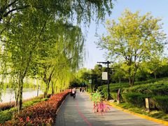 -西安汉城湖景区