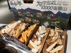 -芸山季·云南山珍菌火锅(南翔印象城MEGA店)