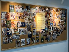 -翊宠yipet猫狗购宠庄园犬舍•猫舍