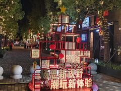 -上海市实验学校
