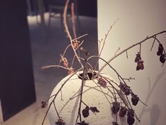 -长春银盐咖啡馆