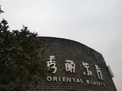 -秀丽东方