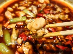 麻辣牛蛙-双井轩(双井店)