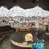 日本长野白马村滑雪场🎿之旅