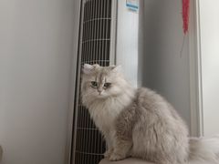 -宠颐生宠物医院·骨外科·犬猫全科诊疗中心(池州店)