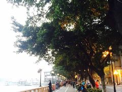 -珠江夜游广州塔·中大码头