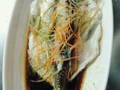 -醉美东江·三文鱼·烧鸡公