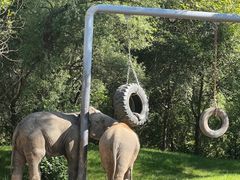 -北京野生动物园