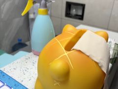 -半岛宠物医院24小时(白果林店)