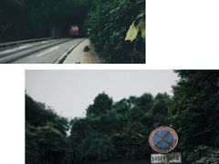 -南山植物园