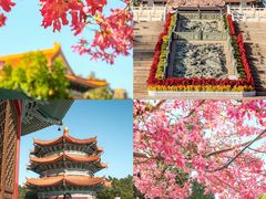 -广东圆玄道观