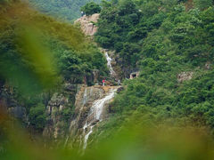 android_upload_pic-清溪森林公园
