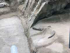 -金沙遗址博物馆