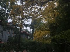 -四川大学(华西校区)