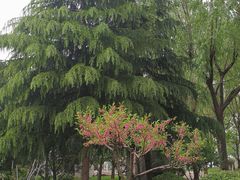 -唐城墙遗址公园
