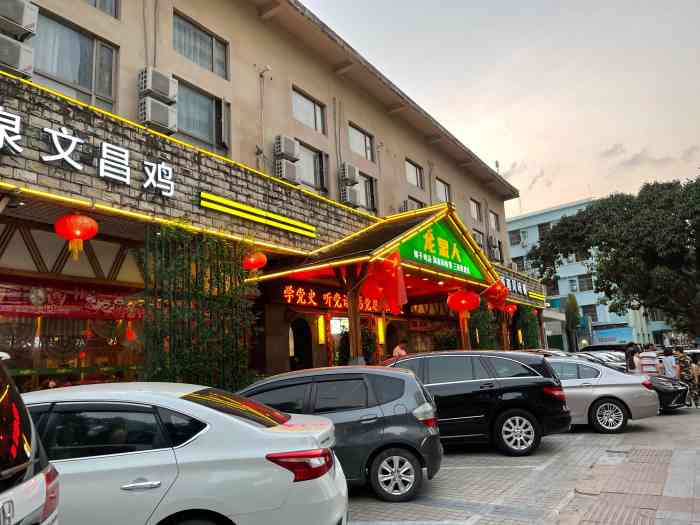 龙泉人椰子鸡(三亚旗舰店)-"就一个字:太鲜了,去海南必吃!