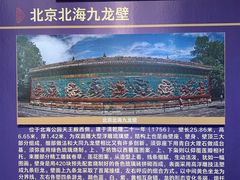 -九龙壁